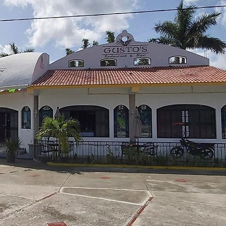 New! Casa Xola Cenote And Fauna Loft Cozumel Bagian luar foto