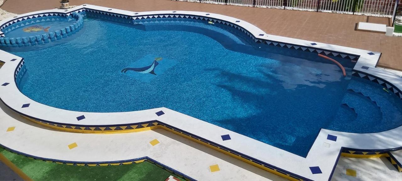 New! Casa Xola Cenote And Fauna Loft Cozumel Bagian luar foto