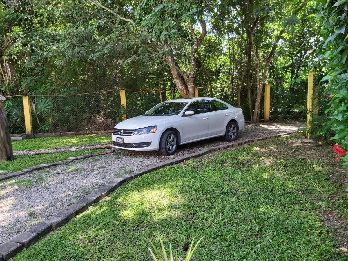 New! Casa Xola Cenote And Fauna Loft Cozumel Bagian luar foto