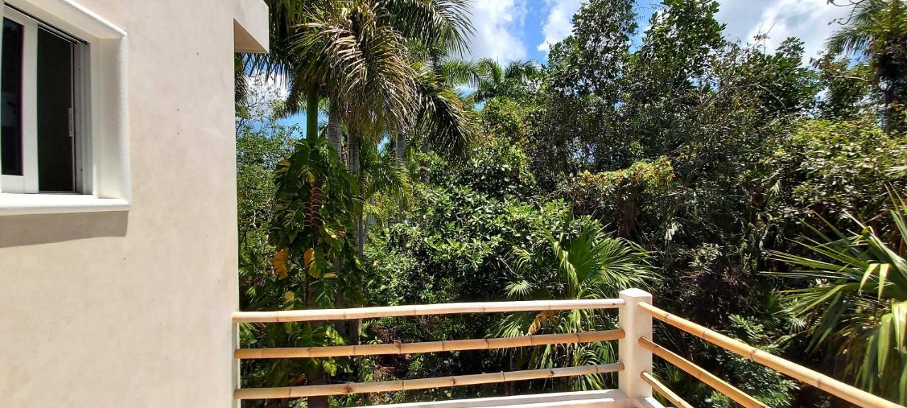 New! Casa Xola Cenote And Fauna Loft Cozumel Bagian luar foto