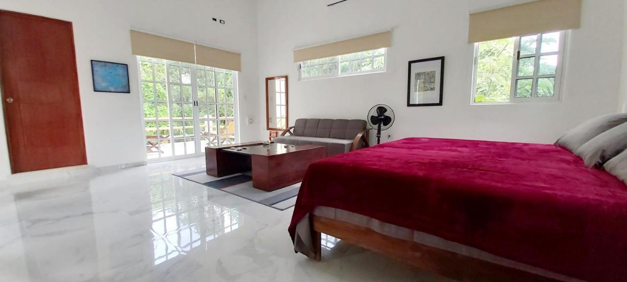New! Casa Xola Cenote And Fauna Loft Cozumel Bagian luar foto