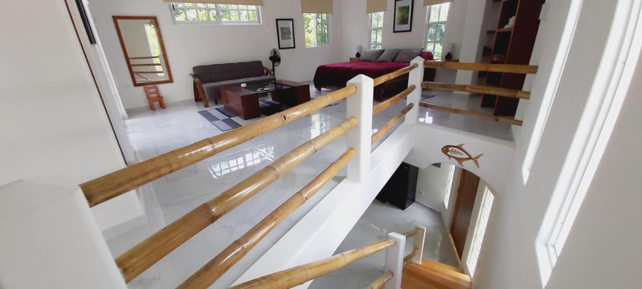 New! Casa Xola Cenote And Fauna Loft Cozumel Bagian luar foto
