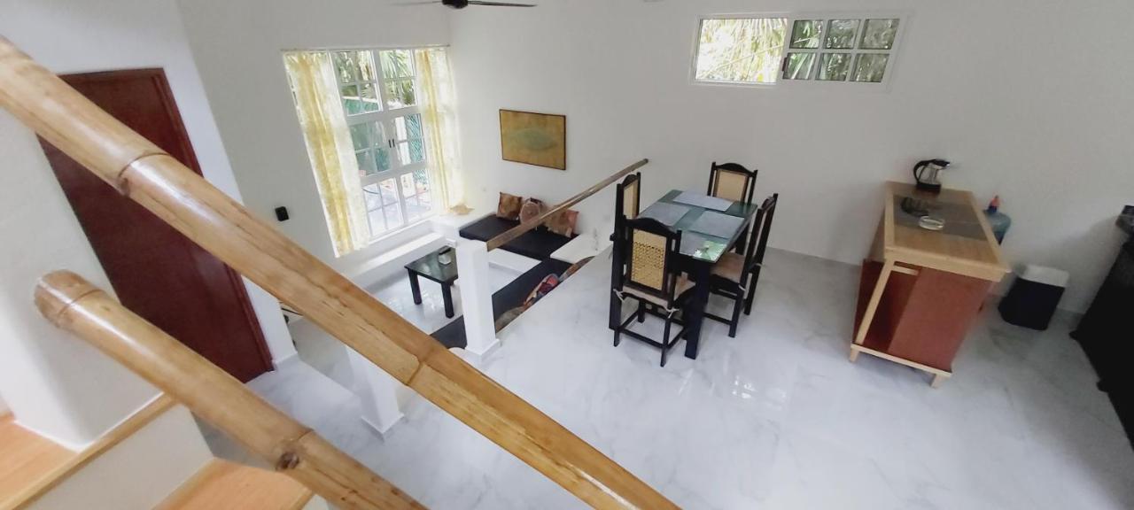 New! Casa Xola Cenote And Fauna Loft Cozumel Bagian luar foto
